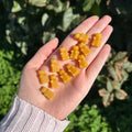 Beeswax Bears Thread Conditioner
