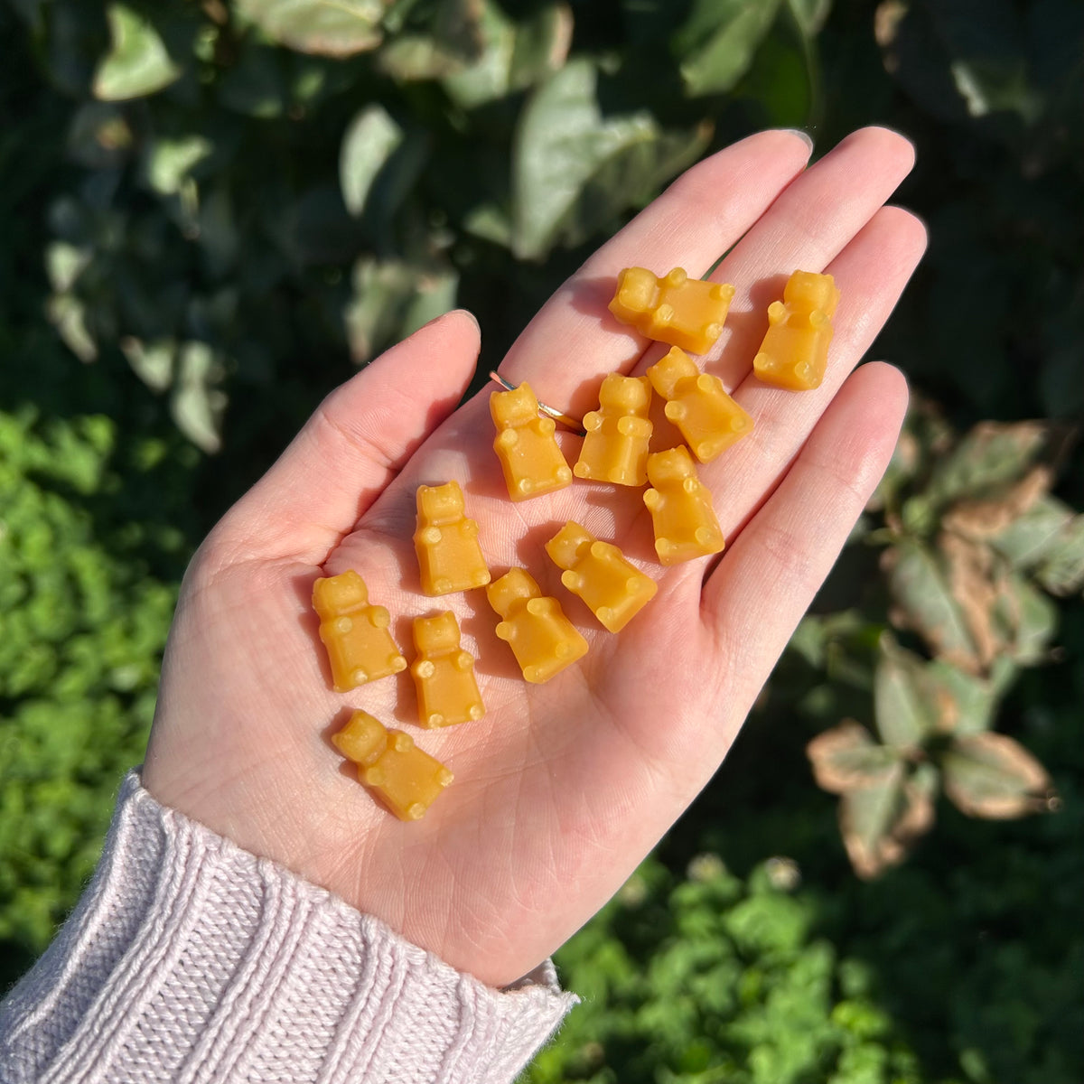 Beeswax Bears Thread Conditioner