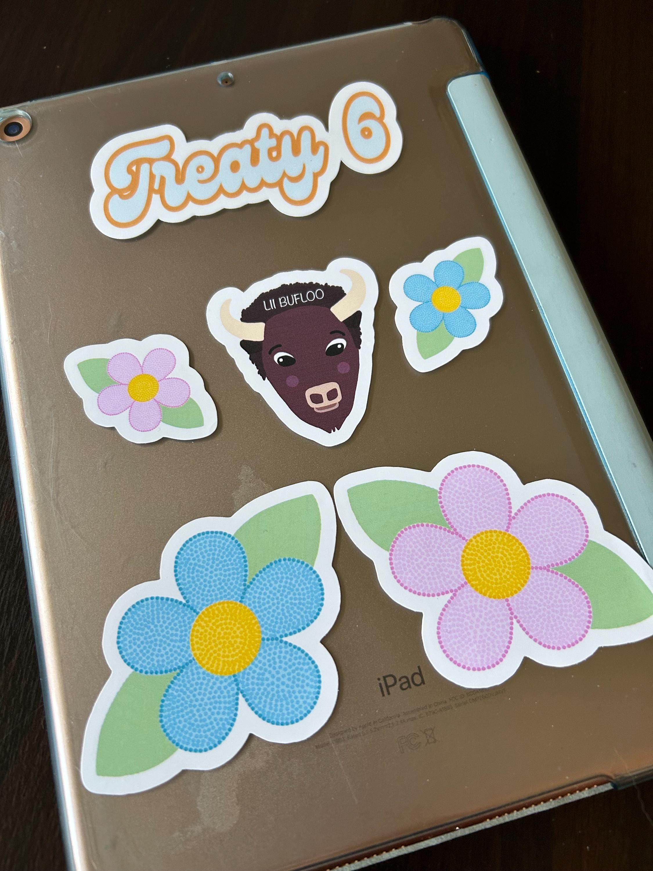 Métis Sash Sticker: Vinyl Decal for Laptops & Water Bottles